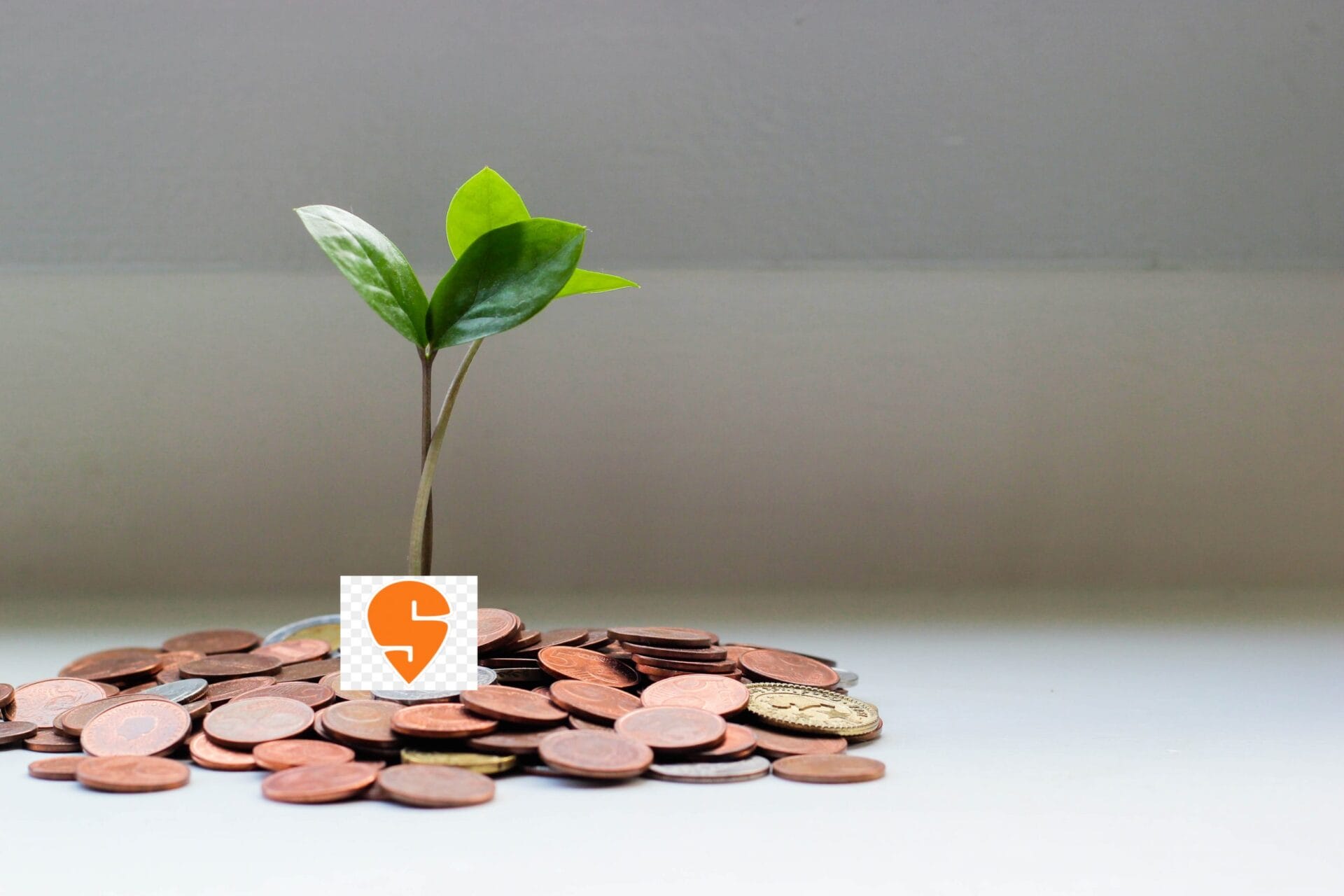 Swiggy Fundraise and the Ripple in the Non-food Delivery Segment With Fundraise Swiggy to Expand into Non-food Delivery Business